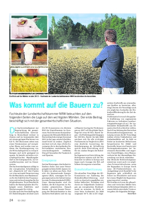 MÄRKTE 2013 Landwirtschaftliches Wochenblatt Ein Blick auf die Märkte im Jahr 2013 – Fachleute der Landwirtschaftskammer NRW beschreiben die Aussichten.