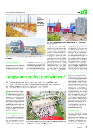 Landwirtschaftliches Wochenblatt TIER 30 Tage Zahlungsziel Der 2000er-Stall ist der Normalfall für Neubauprojekte in der Region.