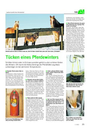 Landwirtschaftliches Wochenblatt TIER ■ Brauchen Pferde warmes Futter im Winter?