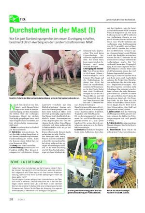 TIER Landwirtschaftliches Wochenblatt Durchstarten in der Mast (I) Wie Sie gute Startbedingungen für den neuen Durchgang schaffen, beschreibt Ulrich Averberg von der Landwirtschaftskammer NRW.