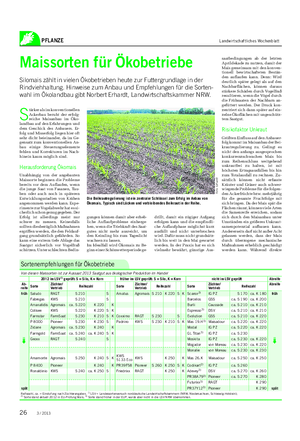 PFLANZE Landwirtschaftliches Wochenblatt Maissorten für Ökobetriebe Silomais zählt in vielen Ökobetrieben heute zur Futtergrundlage in der Rindviehhaltung.