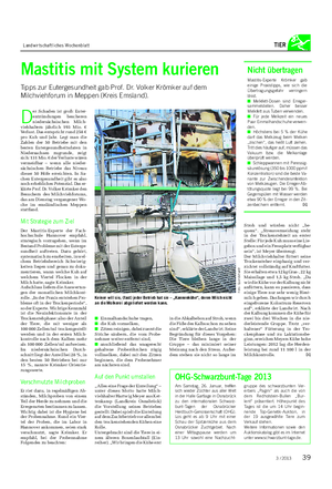Landwirtschaftliches Wochenblatt TIER Mastitis mit System kurieren Tipps zur Eutergesundheit gab Prof.