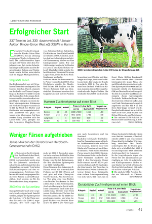Landwirtschaftliches Wochenblatt TIER Erfolgreicher Start 337 Tiere im Lot, 330 davon verkauft / Januar- Auktion Rinder-Union West eG (RUW) in Hamm E s war die 194.