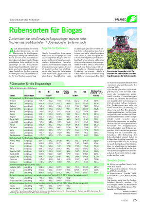 Landwirtschaftliches Wochenblatt PFLANZE ist eine nematodentolerante oder -resistente Zuckerrübensorte die richtige Wahl.