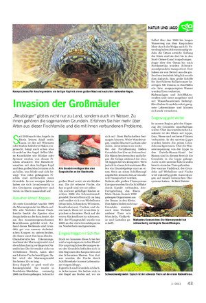 Landwirtschaftliches Wochenblatt NATUR UND JAGD S eit 2010 macht das Angeln im Rhein keinen Spaß mehr.