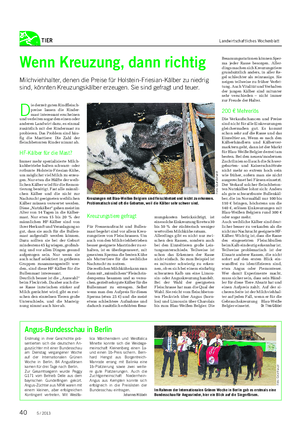 TIER Landwirtschaftliches Wochenblatt Erstmalig in ihrer Geschichte prä- sentierten sich die deutschen An- guszüchter mit einer Bundesschau am Dienstag vergangener Woche auf der Internationalen Grünen Woche in Berlin.