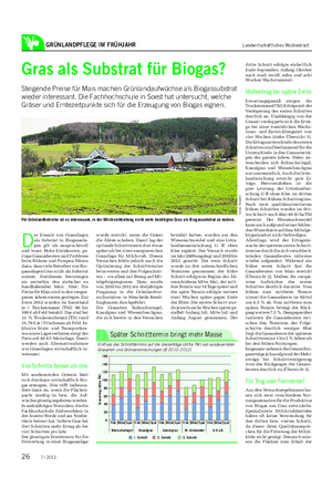 GRÜNLANDPFLEGE IM FRÜHJAHR Landwirtschaftliches Wochenblatt Gras als Substrat für Biogas?