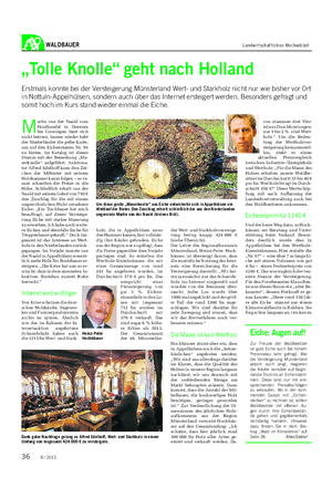 WALDBAUER Landwirtschaftliches Wochenblatt M artin van der Naald vom Houthandel in Doezum bei Groningen lässt sich nicht beirren.