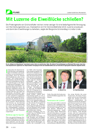 PFLANZE Landwirtschaftliches Wochenblatt Mit Luzerne die Eiweißlücke schließen?