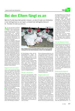 Landwirtschaftliches Wochenblatt TIER Bei den Eltern fängt es an Welche Punkte beachtet werden müssen, um den Einsatz von Antibiotika in der Geflügelmast zu verringern, erläutert der Geflügelfachtierarzt Dr.