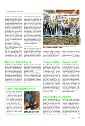 Landwirtschaftliches Wochenblatt TIER daubaren organischen Rohnähr- stoffen errechnen lässt.