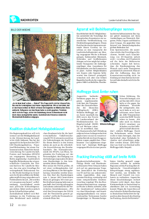 NACHRICHTEN Landwirtschaftliches Wochenblatt „Ja ist denn heut‘ schon … Ostern?