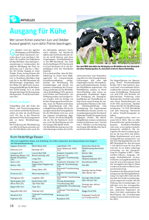 AKTUELLES Landwirtschaftliches Wochenblatt Ausgang für Kühe Wer seinen Kühen zwischen Juni und Oktober Auslauf gewährt, kann dafür Prämie beantragen.
