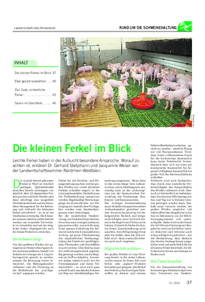 Landwirtschaftliches Wochenblatt RUND UM DIE SCHWEINEHALTUNG INHALT Die kleinen Ferkel im Blick 37 Eber gezielt auswählen.