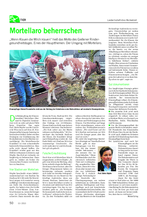 TIER Landwirtschaftliches Wochenblatt Mortellaro beherrschen „Wenn Klauen die Milch klauen“ hieß das Motto des Gießener Rinder- gesundheitstages.