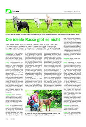 EQUITANA Landwirtschaftliches Wochenblatt Die ideale Rasse gibt es nicht Viele Reiter lieben nicht nur Pferde, sondern auch Hunde.