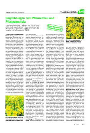 Landwirtschaftliches Wochenblatt PFLANZENBAU AKTUELL Winterraps werden im Rahmen der Saatgutanerkennung bei Lini- ensorten mindestens zweimal be- sichtigt.