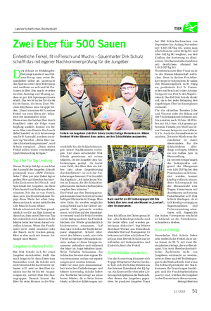 Landwirtschaftliches Wochenblatt TIER Zwei Eber für 500 Sauen Einheitliche Ferkel, fit in Fleisch und Wuchs – Sauenhalter Dirk Schulz schafft das mit eigener Nachkommenprüfung für die Jungeber.