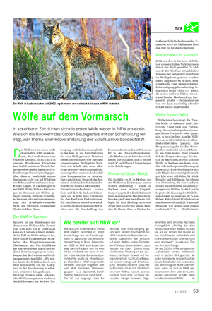 Landwirtschaftliches Wochenblatt TIER Wölfe auf dem Vormarsch In absehbarer Zeit dürften sich die ersten Wölfe wieder in NRW ansiedeln.