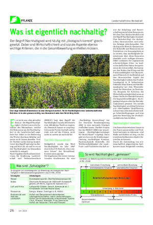 PFLANZE Landwirtschaftliches Wochenblatt Was ist eigentlich nachhaltig?
