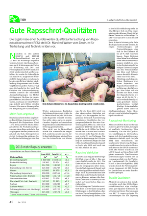 TIER Landwirtschaftliches Wochenblatt Gute Rapsschrot-Qualitäten Die Ergebnisse einer bundesweiten Qualitätsuntersuchung von Raps- extraktionsschrot (RES) stellt Dr.