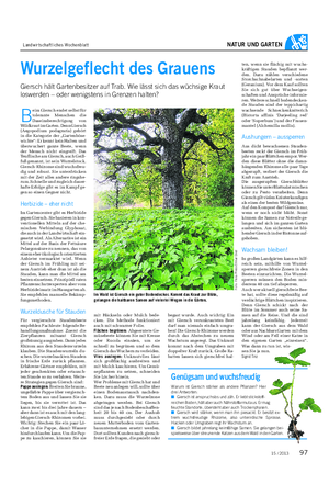 Landwirtschaftliches Wochenblatt NATUR UND GARTEN ten, wenn sie flächig mit wuchs- kräftigen Stauden bepflanzt wer- den.