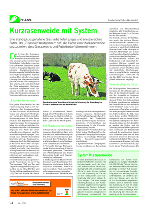 PFLANZE Landwirtschaftliches Wochenblatt Kurzrasenweide mit System Eine ständig kurz gehaltene Grasnarbe liefert junges und energiereiches Futter.