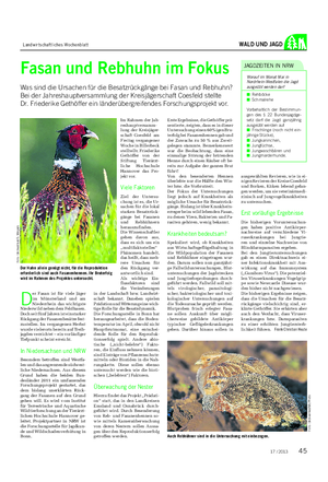 Landwirtschaftliches Wochenblatt WALD UND JAGD Fasan und Rebhuhn im Fokus Was sind die Ursachen für die Besatzrückgänge bei Fasan und Rebhuhn?