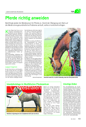 Landwirtschaftliches Wochenblatt TIER Pferde richtig anweiden Bald fängt wieder die Weidesaison für Pferde an.