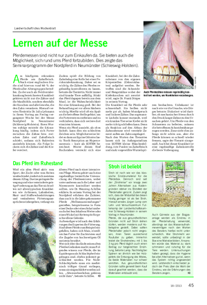 Landwirtschaftliches Wochenblatt TIER A m häufigsten erkranken Pferde am Zahnfleisch.