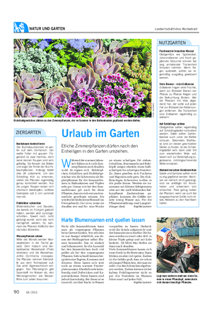 NATUR UND GARTEN Landwirtschaftliches Wochenblatt Urlaub im Garten Etliche Zimmerpflanzen dürfen nach den Eisheiligen in den Garten umziehen.
