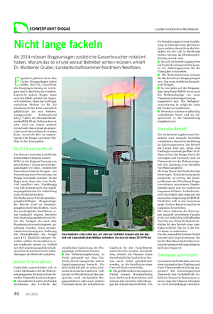 SCHWERPUNKT BIOGAS Landwirtschaftliches Wochenblatt Nicht lange fackeln Ab 2014 müssen Biogasanlagen zusätzliche Gasverbraucher installiert haben.