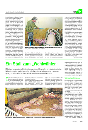 Landwirtschaftliches Wochenblatt TIER Beispiel in neue Stallungen keinen Sinn, weiß auch Berater Bunte.