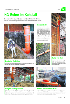 Landwirtschaftliches Wochenblatt TIER KG-Rohre im Kuhstall Sie sind wahre Tausendsassa – handelsübliche KG-Rohre lassen sich vielseitig verwenden.