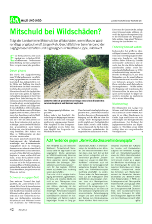 WALD UND JAGD Landwirtschaftliches Wochenblatt Mitschuld bei Wildschäden?