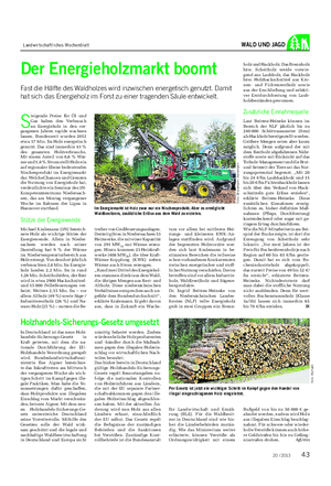 Landwirtschaftliches Wochenblatt WALD UND JAGD Der Energieholzmarkt boomt Fast die Hälfte des Waldholzes wird inzwischen energetisch genutzt.