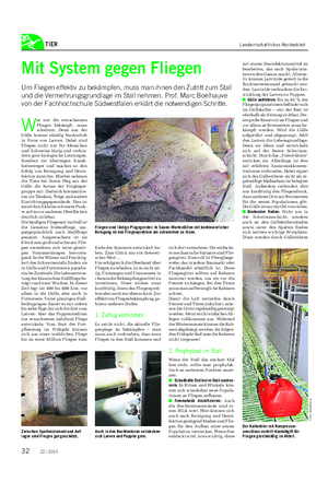 TIER Landwirtschaftliches Wochenblatt Mit System gegen Fliegen Um Fliegen effektiv zu bekämpfen, muss man ihnen den Zutritt zum Stall und die Vermehrungsgrundlage im Stall nehmen.