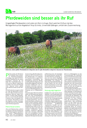 TIER Landwirtschaftliches Wochenblatt Pferdeweiden sind besser als ihr Ruf Ungepflegte Pferdeweiden sind vielen ein Dorn im Auge.