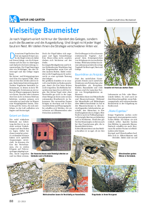 NATUR UND GARTEN Landwirtschaftliches Wochenblatt Vielseitige Baumeister Je nach Vogelart variiert nicht nur der Standort des Geleges, sondern auch die Bauweise und die Ausgestaltung.