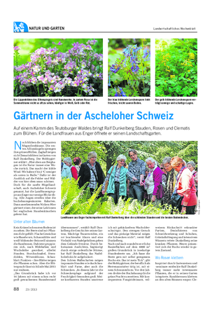 NATUR UND GARTEN Landwirtschaftliches Wochenblatt Gärtnern in der Ascheloher Schweiz Auf einem Kamm des Teutoburger Waldes bringt Ralf Dunkelberg Stauden, Rosen und Clematis zum Blühen.