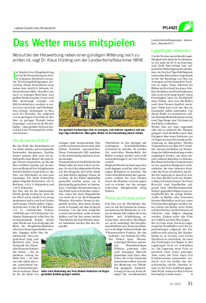 Landwirtschaftliches Wochenblatt PFLANZE 24 / 2013 Das Wetter muss mitspielen Worauf bei der Heuwerbung neben einer günstigen Witterung noch zu achten ist, sagt Dr.