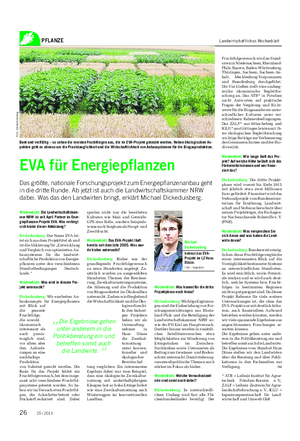 PFLANZE Landwirtschaftliches Wochenblatt Wochenblatt: Die Landwirtschaftskam- mer NRW ist seit April Partner im Ener- giepflanzen-Projekt EVA.