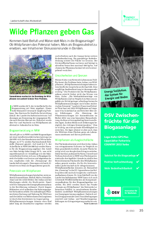 Landwirtschaftliches Wochenblatt I n NRW werden 50 % der Ackerfläche für die Biogasnutzung mit Mais angebaut.
