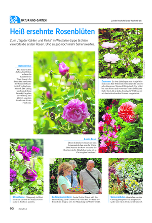 NATUR UND GARTEN Landwirtschaftliches Wochenblatt Heiß ersehnte Rosenblüten Zum „Tag der Gärten und Parks“ in Westfalen-Lippe blühten vielerorts die ersten Rosen.
