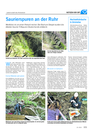 Landwirtschaftliches Wochenblatt NOTIZEN VOR ORT W ie viele Menschen sind wohl schon auf der „Geo- Route Ruhr“ durch den Steinbruch im Ruhrtal bei Bo- chum-Stiepel gewandert?