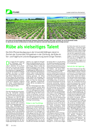 PFLANZE Landwirtschaftliches Wochenblatt D ie Lagune für die Lagerung von Rübenmus wird als „Verlustproduktionsma- schine“ diskutiert.