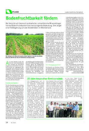 PFLANZE Landwirtschaftliches Wochenblatt Bodenfruchtbarkeit fördern Bei Verzicht auf chemisch-synthetische, schnelllösliche Mineraldünger hat die Bodenfruchtbarkeit eine herausragende Bedeutung.