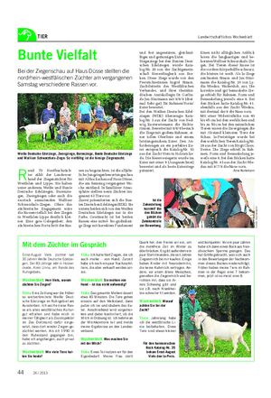TIER Landwirtschaftliches Wochenblatt Bunte Vielfalt Bei der Ziegenschau auf Haus Düsse stellten die nordrhein-westfälischen Züchter am vergangenen Samstag verschiedene Rassen vor.