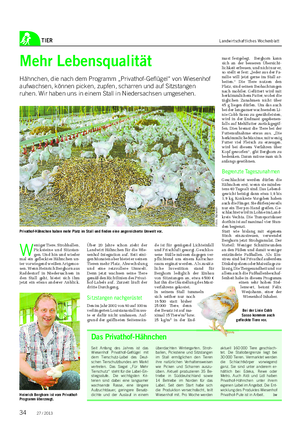 TIER Landwirtschaftliches Wochenblatt Mehr Lebensqualität Hähnchen, die nach dem Programm „Privathof-Geflügel“ von Wiesenhof aufwachsen, können picken, zupfen, scharren und auf Sitzstangen ruhen.