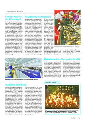 Landwirtschaftliches Wochenblatt NACHRICHTEN Mit 59 000 t Grillkohle war Polen im Jahr 2012 der Kohle-Hauptlieferant für deutsche Grillfeiern.